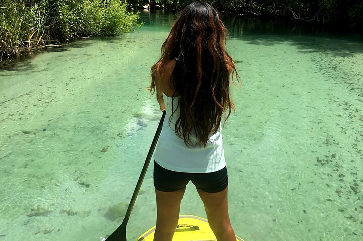 Nature Stand Up Paddle Boarding Experience in Miami  - Photo 1 of 7